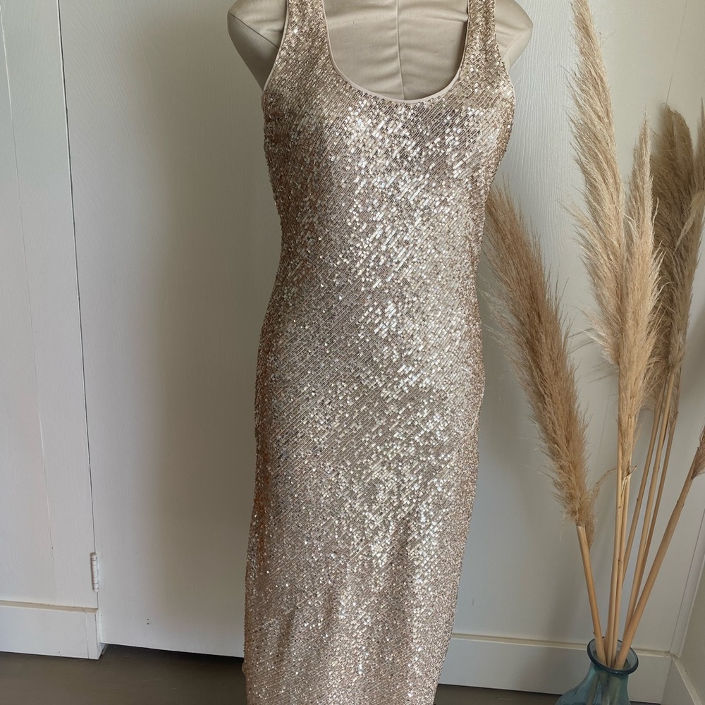 Banana Republic Sequin Dress